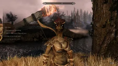 《上古卷轴5：天际重制版》阿戈尼亚女孩追随者MOD