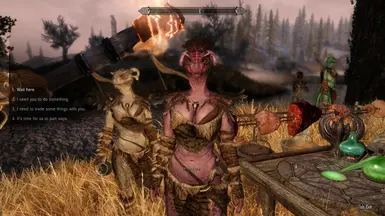 《上古卷轴5：天际重制版》阿戈尼亚女孩追随者MOD