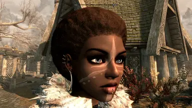 《上古卷轴5：天际重制版》女性爆炸头MOD