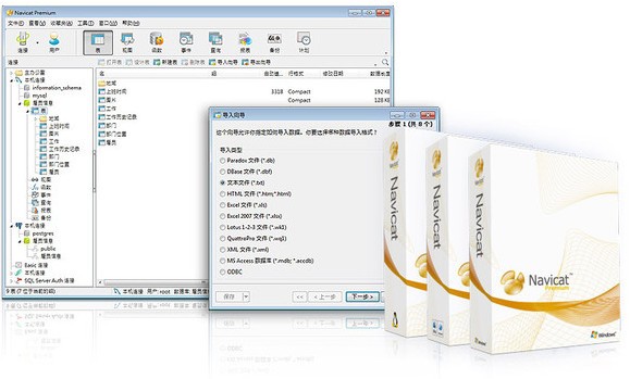 Navicat Premium正版