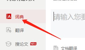 有道词典如何指定检测语言