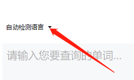 有道词典如何指定检测语言