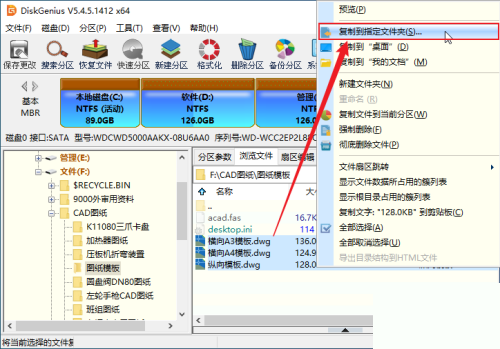 diskgenius怎么将分区中的文件复制到指定目录