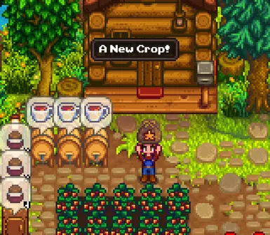 《星露谷物语》星莓MOD