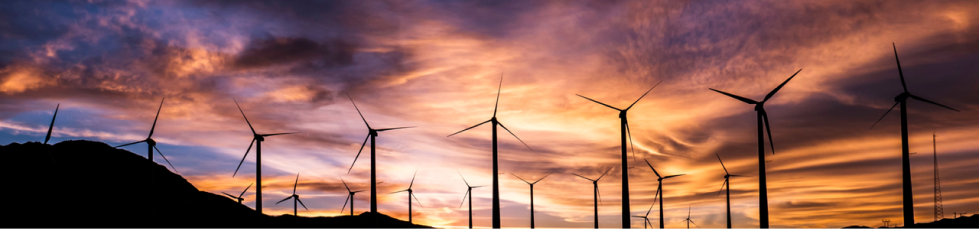 D5渲染器免费版