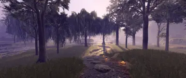 《博德之门3》禅地图MOD