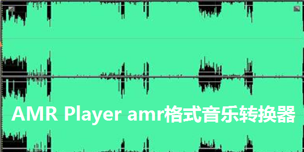 AMR Player官方版