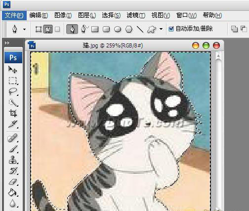 Photoshop钢笔工具怎么使用