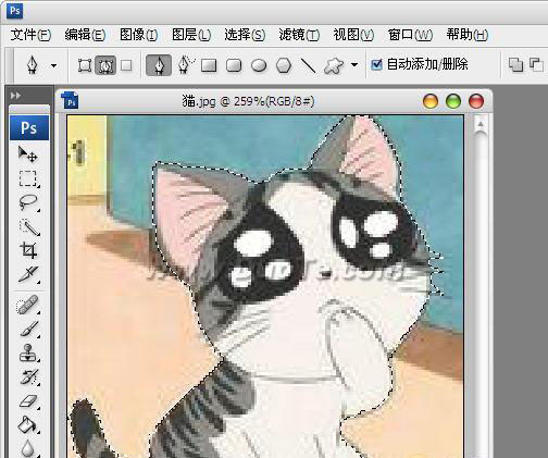 Photoshop钢笔工具怎么使用