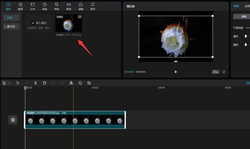 剪映怎么给字幕变色