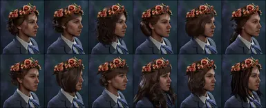 《霍格沃茨之遗》花冠外观MOD