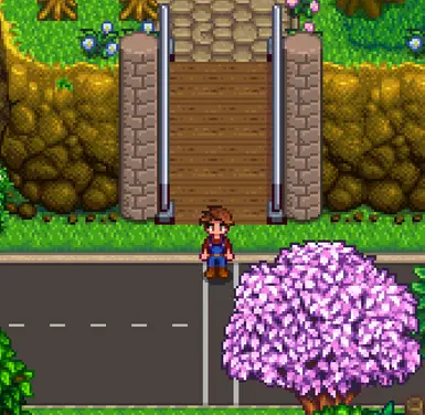 《星露谷物语》鹈鹕镇无障碍设施MOD