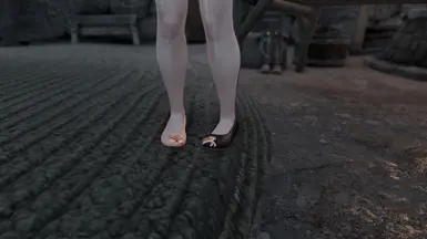 《上古卷轴5：天际重制版》花俏狐狸鞋子MOD