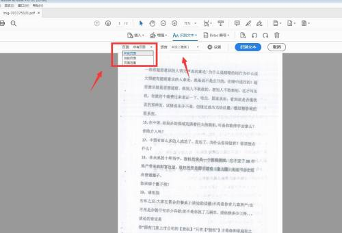 Adobe Acrobat怎么转为可搜索文字