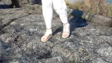 《上古卷轴5：天际重制版》毛茸茸的天使羽毛MOD