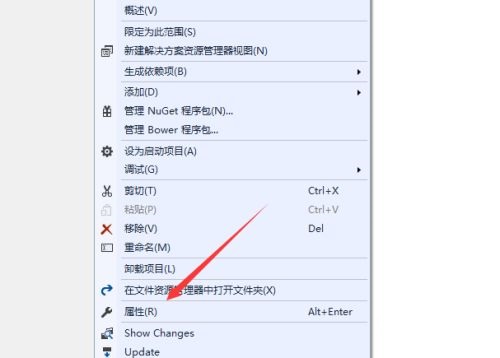 Visual Studio 2019如何设置IIS