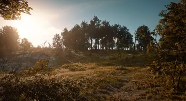 《荒野大镖客2》动态季节MOD