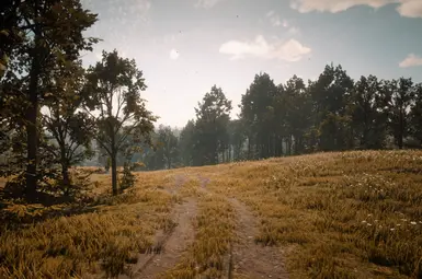 《荒野大镖客2》动态季节MOD