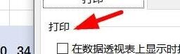 Excel数据透视表如何设置打印选项