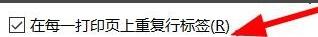 Excel数据透视表如何设置打印选项
