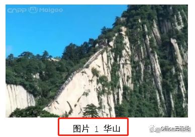 word交叉引用在哪