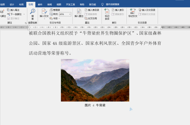 word交叉引用在哪