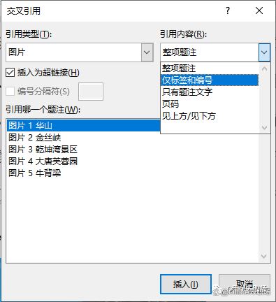 word交叉引用在哪