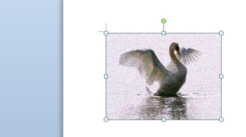 word如何设置图片的颗粒效果