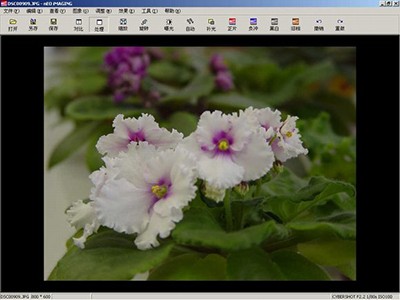 光影魔术手色阶是什么意思
