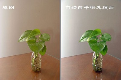 光影魔术手白平衡校正怎么用