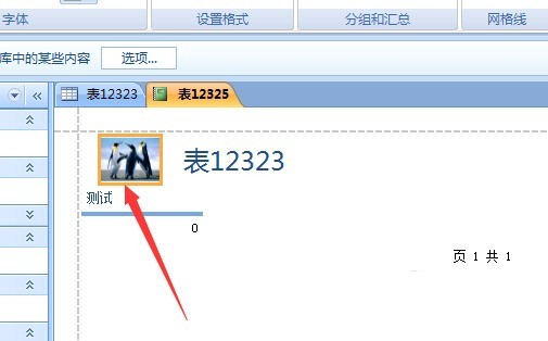 access数据库怎么修改报表微标