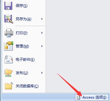 access对象设计器默认字段类型怎么设置