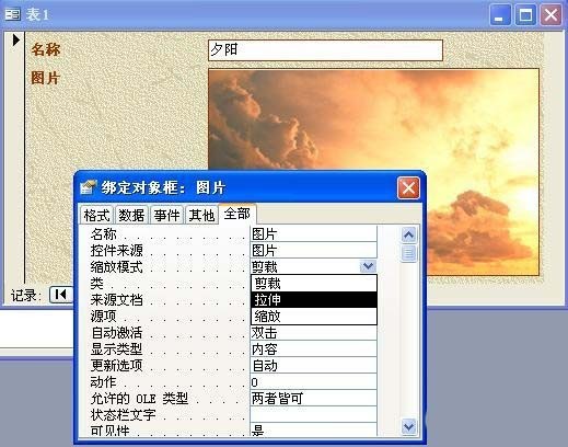 access如何将图片导入数据库进行保存
