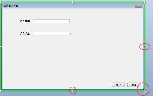 BarTender怎么调整数据输入表单大小