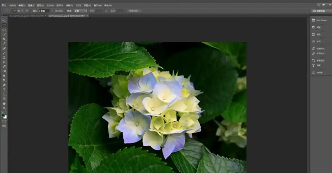 Photoshop CS6怎么给图片去斑