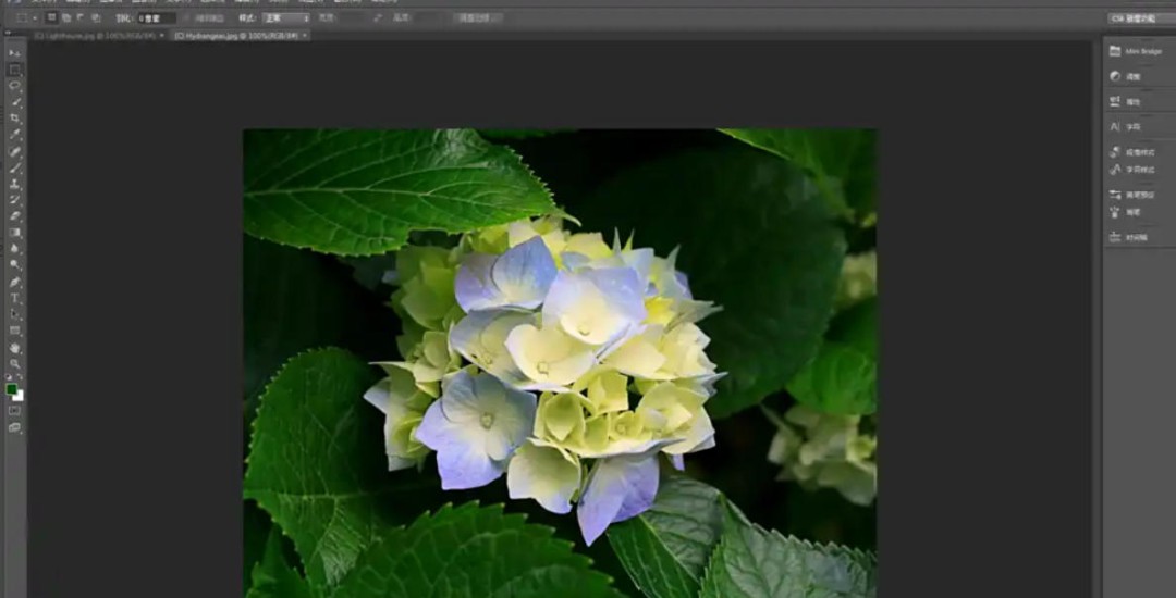 Photoshop CS6怎么给图片去斑