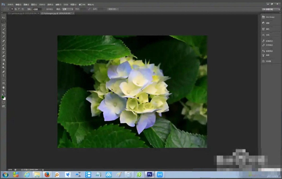 Photoshop CS6怎么给图片去斑