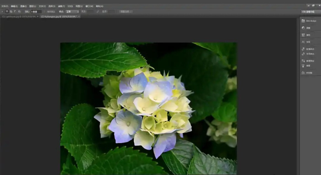 Photoshop CS6怎么给图片去斑