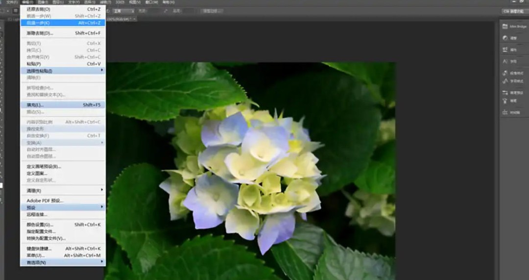 Photoshop CS6怎么给图片去斑
