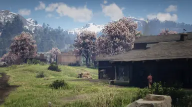 《荒野大镖客2》情人节花MOD