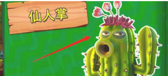 植物大战僵尸怎么获得仙人掌碎片