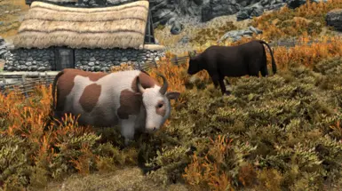 《上古卷轴5：天际重制版》北欧奶牛外观MOD