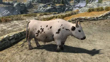 《上古卷轴5：天际重制版》北欧奶牛外观MOD