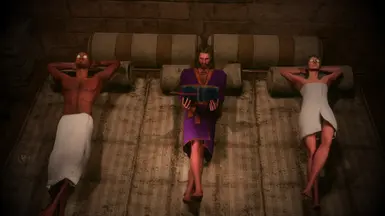 《博德之门3》居家用品MOD