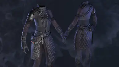 《上古卷轴5：天际重制版》猎人护甲MOD