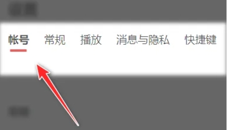 网易云音乐怎么怎么设置字体
