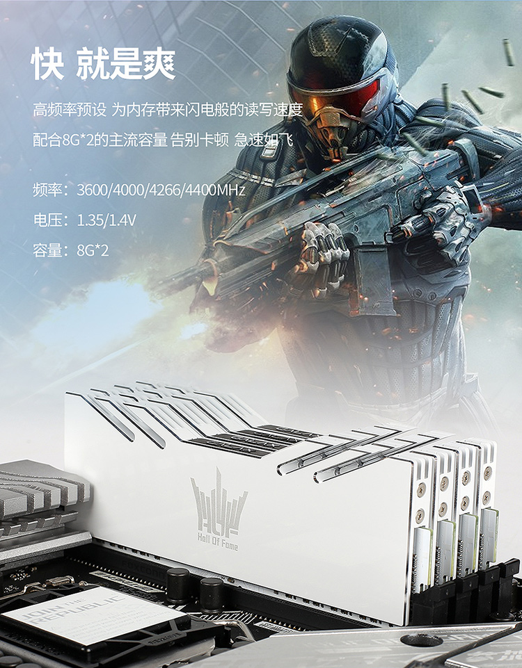 乐于帮萌新单杀BOSS的壶头哥，是老头环中的老好人