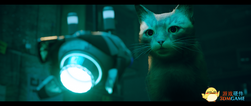 猫猫赛博大冒险 华硕显卡实测猫咪冒险游戏《流浪》