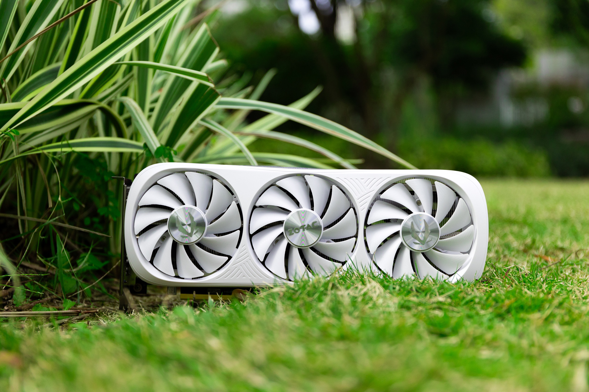 动视暴雪Steam特卖来袭，游戏盛宴等你畅享！