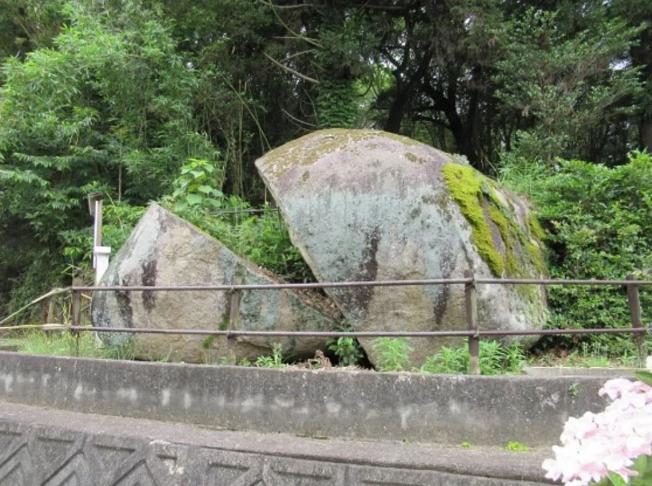 周一內(nèi)涵囧圖云飛系列 單身久了看影子也風(fēng)韻猶存